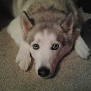 Meet your Posher, Elisabeth